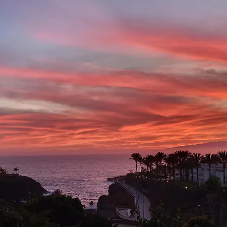 Magical Sunset أذيخي